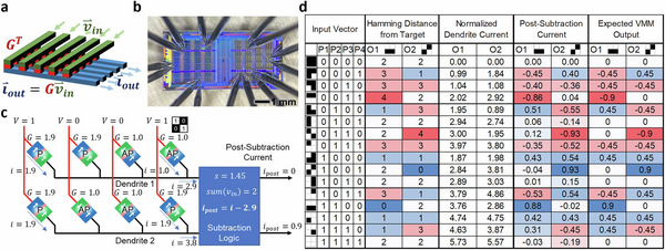 Scientists Create Brain-Inspired Computer That Learns Like Humans Using 90% Less Energy Than Current AI