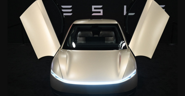 Tesla's Robotaxi Dreams Delayed Amid FSD Safety Concerns and Musk Backlash