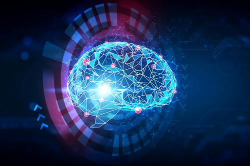 Johns Hopkins Researchers Discover AI Systems Mimic Human Brain Activity Without Any Training Data