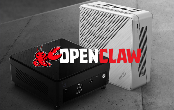 Reddit User Successfully Installs OpenClaw AI Agent on Linux After Windows Installation Fails