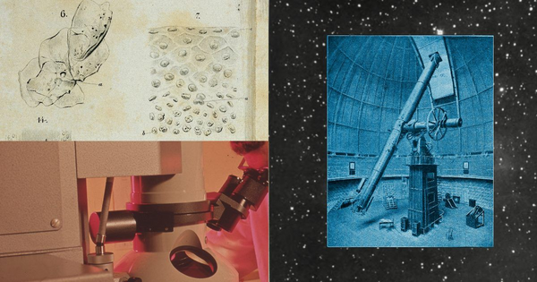 Article image for Anthropic Gives 20 Science Groups Free Claude Credits, Including US NSF