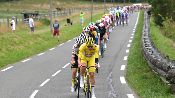 AI Startups Capture 41% of All VC Investment as $81 Billion Flows to Just 10 Companies