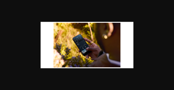 Article image for ŌURA Unveils AI-Powered Meal and Glucose Tracking for Holistic Metabolic Health