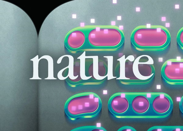 Article image for Ai2 Publishes Bolmo Byte-Level Research in Nature and Releases Bwen 8B and Blama 8B