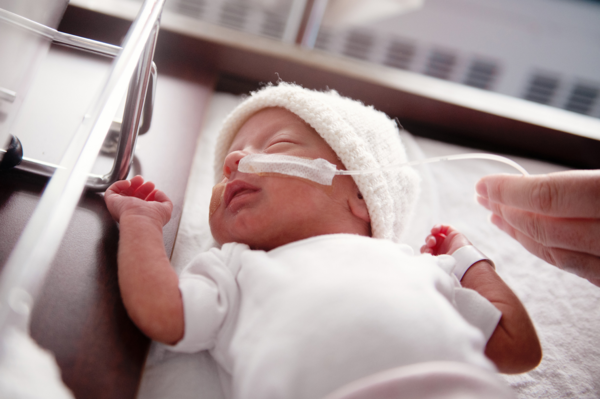 Article image for AI Tool Optimizes IV Nutrition for Preemies, Enhancing Care Efficiency
