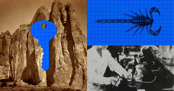 Article image for Anthropic Says Claude Designed 17 Scorpion Neurotoxin Binders in 64 Hours