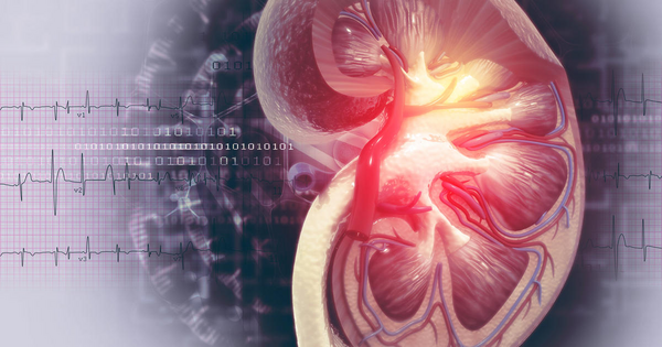 AI Tool Cuts Kidney Cancer Detection Time by 30% While Boosting Accuracy for Radiologists