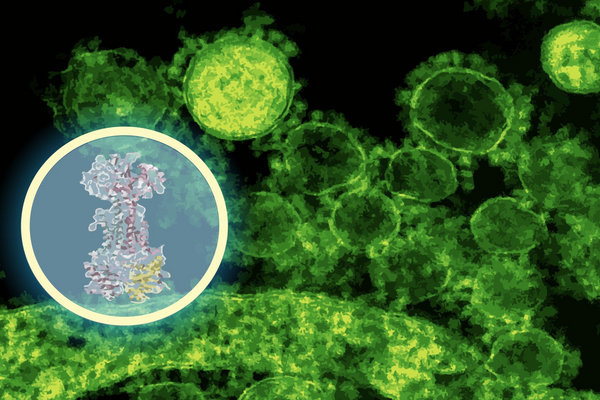 Scientists Develop AI-Discovered Antibiotic That Targets Crohn's Disease Bacteria While Preserving Healthy Gut Microbes