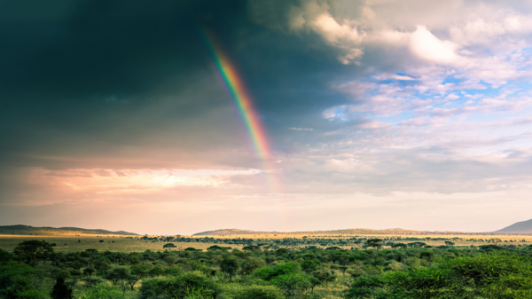 Groundbreaking AI 'Aardvark' Revolutionizes Weather Forecasting