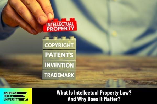 Demystifying Intellectual Property: The Linchpin of Innovation and Fair Play