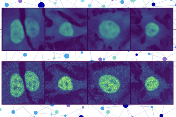 AI Breakthrough Pinpoints Protein Locations in Human Cells