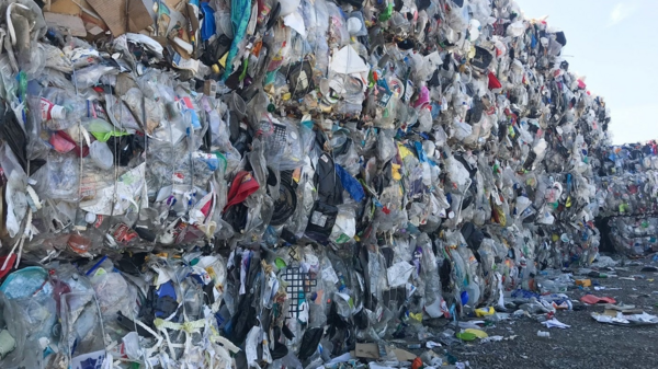 Plastic Recycling Illusion: Only 5% Recycled, Rates Declining Amid Crisis