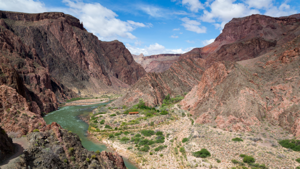 Mass Terminations of Federal Scientists Raise Public Safety Concerns