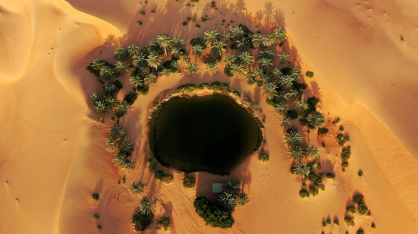 Gulf's AI Hubs Face Water Crisis, Consuming 426 Billion Liters Annually by 2030