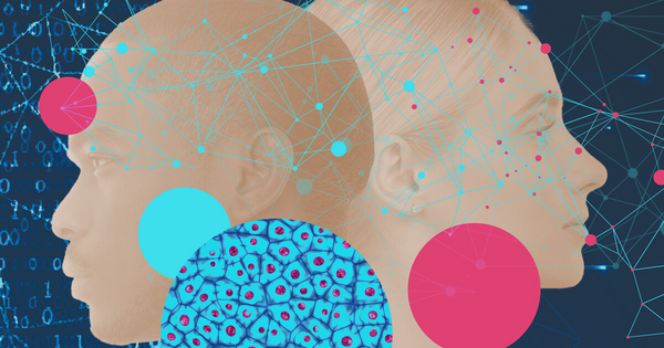 Article image for Columbia University Deploys AI to Crack the Code of Cancer, Alzheimer's, and Human Biology