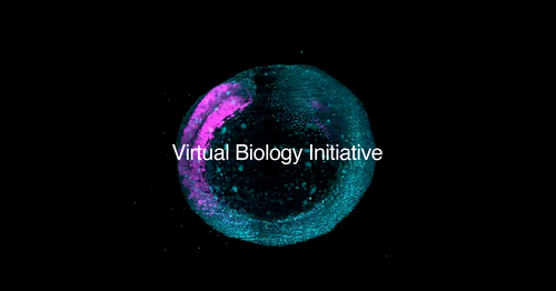 Article image for Biohub Launches $500 Million AI Initiative to Build Open Predictive Models of Human Cells