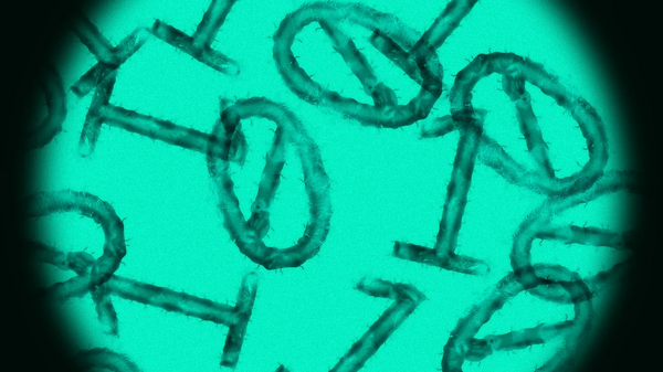 Article image for Over 100 Top University Researchers Endorse Framework to Restrict AI Access to Deadly Virus Data