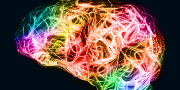 Scientists Propose Consciousness Emerges from Brain's Quantum Field Interactions