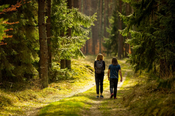 Unlock Nature's Healing Power: The Surprising Benefits of Walking in the Great Outdoors