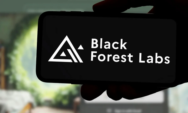 Black Forest Labs Seeks $4 Billion Valuation as AI Image Generation Startup Pursues $300 Million Funding Round