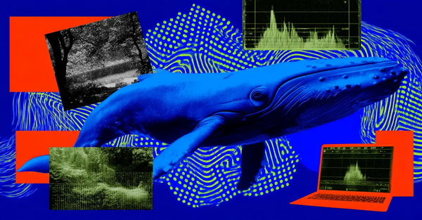 DeepSeek Launches Two New Flagship AI Models, Undercutting US Rivals With Fraction-of-the-Cost Pricing