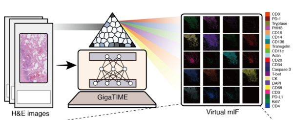 Microsoft Releases AI Tool That Generates Immune System Data from Cancer Slides in Minutes Instead of Days