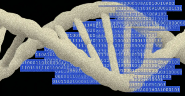 Article image for Stanford-Spinout Radical Numerics Raises $50M, Launches Proprietary AI Model to Decode Human DNA