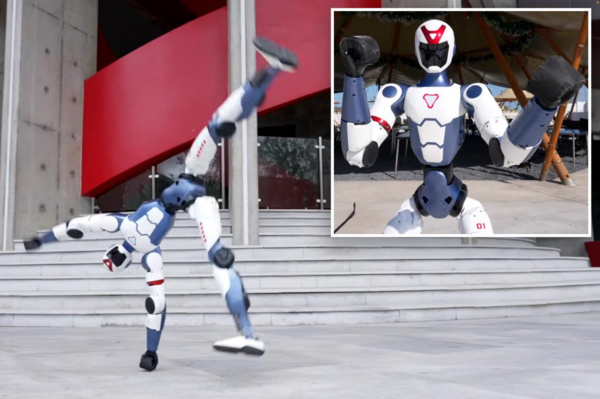 Affordable Humanoid Robot Performs Acrobatics and Martial Arts